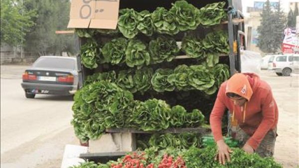 The statement said that real estate property owned by 92% of Egyptians is not registered and is estimated to be worth EGP 1tn, and that 70% of its ownership is concentrated among low-income earners.
