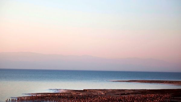 According to Yediot Aharonot newspaper, which first broke the story, the idea dates back to the 1994 signing of a peace treaty between Israel and Jordan.
