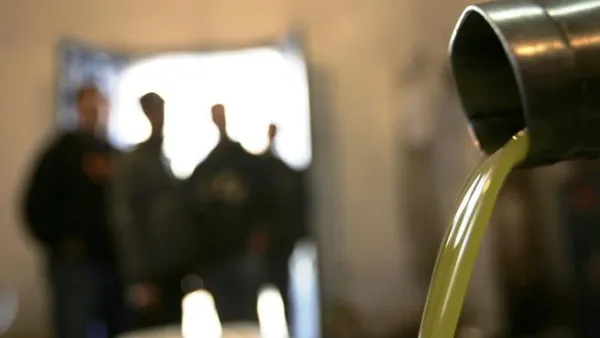 Israel-Palestine's oil dispute, where it's all about the olives (Arabic: Zeitoun).