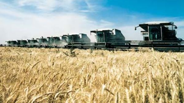 The Arab food gap is affecting most types of farm products, including cereals, what and rice (Courtesy of the Saudi Embassy) The Arab food gap is affecting most types of farm products, including cereals, what and rice (Courtesy of the Saudi Embassy)