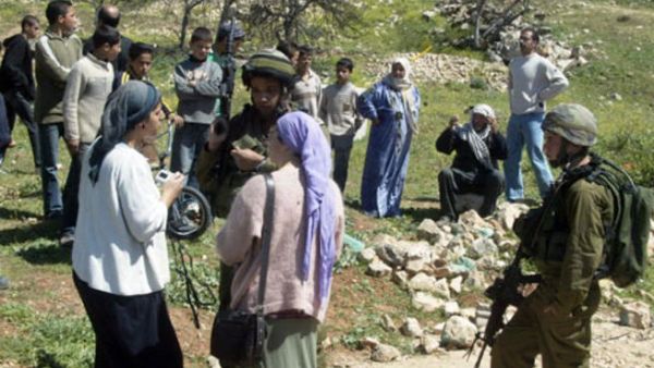 المستوطنين يعيثون فسادا في الضفة 