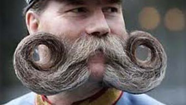 شارب بس محترم