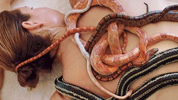 عقد من الافاعي