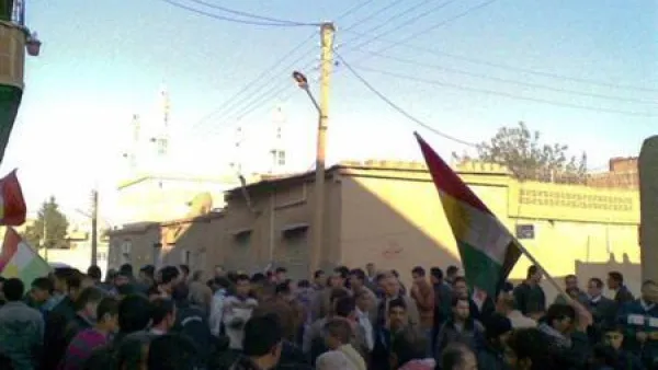 متظاهرون في عامودا
