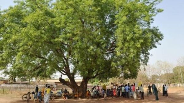 Around 1,500 saplings were planted at the university on Saturday as part of the initiative.