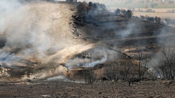 عمل تخريبي يؤدي الى توقف تصدير النفط العراقي الى تركيا