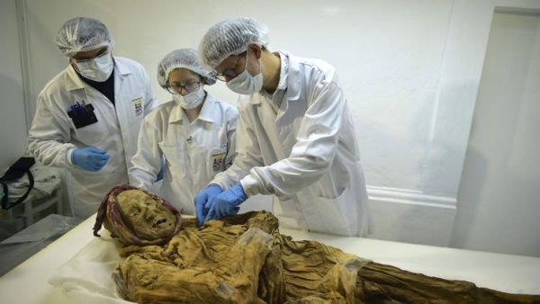 الطبيب الشرعي الفرنسي فيليب شارلير يفحص مومياء جوانو مع الفنيين الإكوادوريين في مختبر في معهد التراث الثقافي في في كيتو. ويدرس تشارلير مومياء الراهب التي عثر عليها في عام 1949 