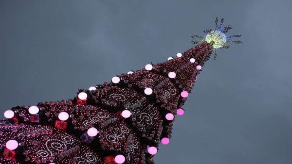 شجرة عيد الميلاد "الكريسماس"