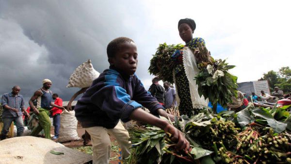 نحو 152 مليون طفل في العالم يجبرون على العمل.
