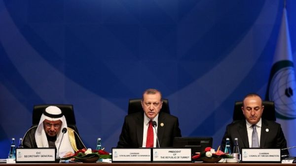 وزير خارجية مصر يتجنب مصافحة أردوغان 