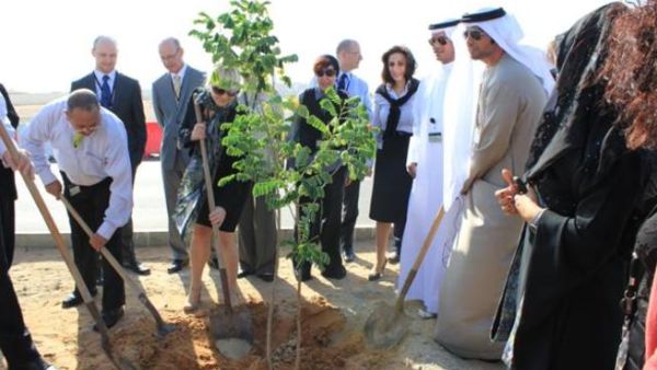 فاعلية الجميع يزرع، نحو بيئة أفضل