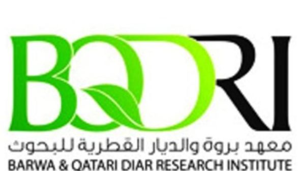 Barwa and Qatari Diar Research Institute Barwa and Qatari Diar Research Institute