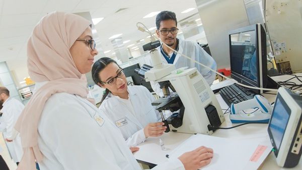 تتطلب مختبرات المستشفى من الفنيين الدقة والإلمام الكامل للعلوم الأساسية. تتطلب مختبرات المستشفى من الفنيين الدقة والإلمام الكامل للعلوم الأساسية.