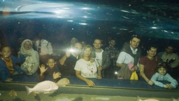 Behind the Scenes of the Aquarium workshop