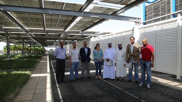 During the visit