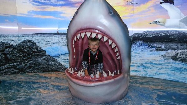 Don't Stop Wondering' with OSN and Discovery Exhibition