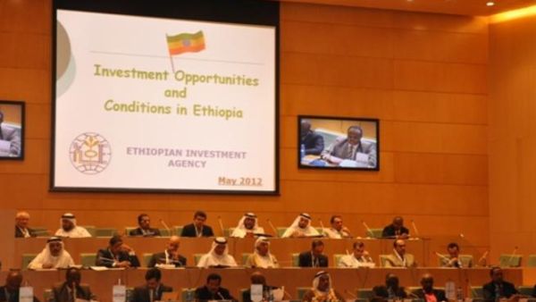 During UAE-Ethiopia Business Forum