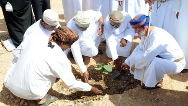 ESO Plant tree ESO Plant tree