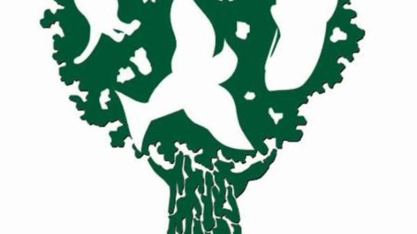 Environmental Grants