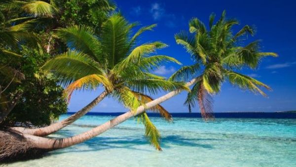 The Maldives features deep blue seas, sandy beaches and turquoise reefs