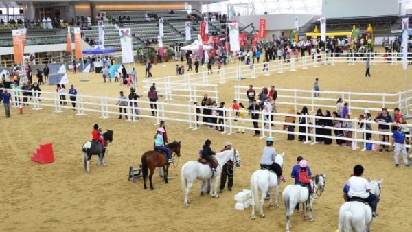 أطفال يستمتعون بركوب الأمهر ضمن الفعاليات التي نظمتها مؤسسة قطر للاحتفال باليوم الرياضي للدولة. أطفال يستمتعون بركوب الأمهر ضمن الفعاليات التي نظمتها مؤسسة قطر للاحتفال باليوم الرياضي للدولة.