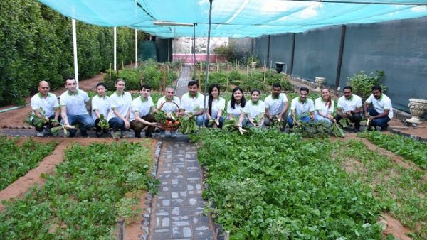 Covering 430 square metres of space, Ramada Ajman’s urban farm grows seasonal crops which are used in the hotel’s in-house kitchen. Covering 430 square metres of space, Ramada Ajman’s urban farm grows seasonal crops which are used in the hotel’s in-house kitchen.