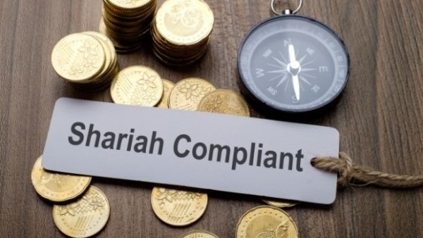Saudi Arabia raised $50 billion through international conventional and Islamic bonds. (Shutterstock)