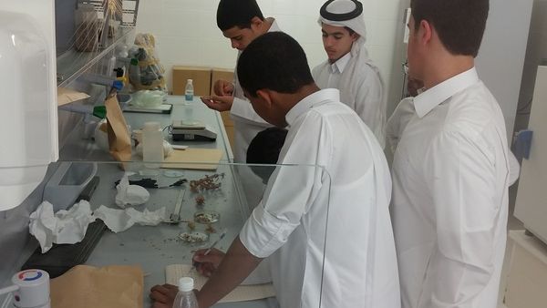 طلاب يُجرون تجارب معملية ضمن ورشة عمل نظمتها حديقة القرآن النباتية