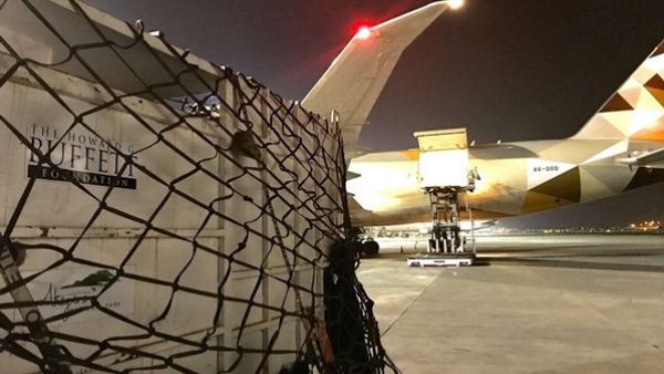 حيوانات وحيد القرن الأسود في حاويات خاصة في مطار جوهانسبرغ الدولي، بانتظار تحميلها على متن طائرة تابعة للاتحاد للشحن لبدء رحلتها التاريخية إلى روندا حيوانات وحيد القرن الأسود في حاويات خاصة في مطار جوهانسبرغ الدولي، بانتظار تحميلها على متن طائرة تابعة للاتحاد للشحن لبدء رحلتها التاريخية إلى روندا
