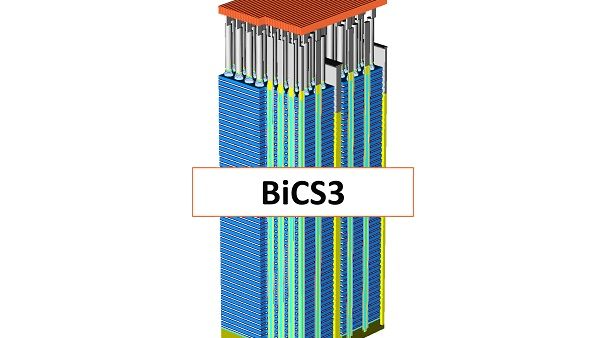 BICS BICS