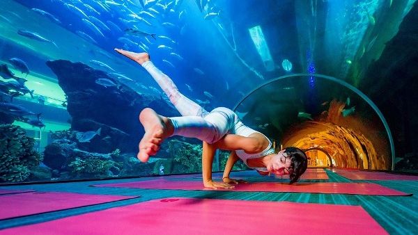 Open to the public, the Underwater Yoga Retreat will feature dedicated sessions that draw their theme from water. Open to the public, the Underwater Yoga Retreat will feature dedicated sessions that draw their theme from water.