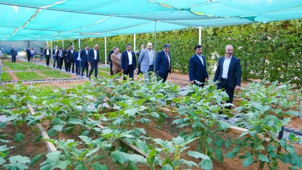 WHG at Ramada Ajman Urban Farm WHG at Ramada Ajman Urban Farm