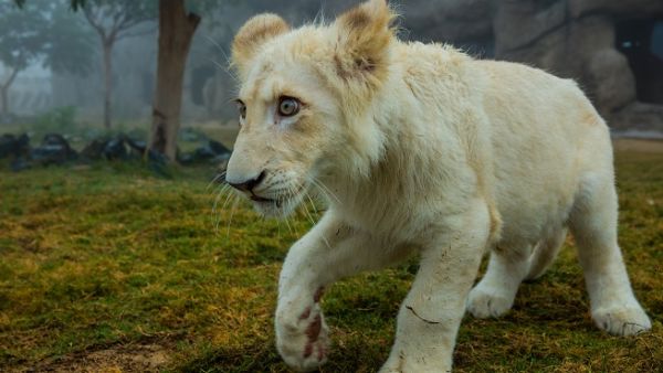 The world-class wildlife park has welcomed new arrivals.