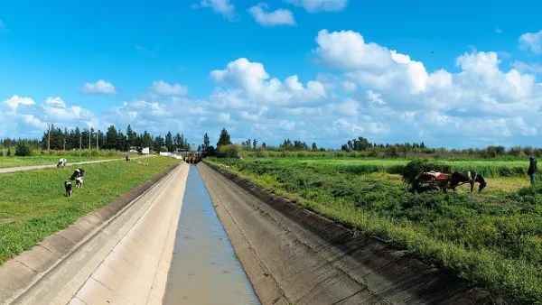 ADFD has allocated nearly AED3.2 billion towards development projects in the agricultural and irrigation sectors.