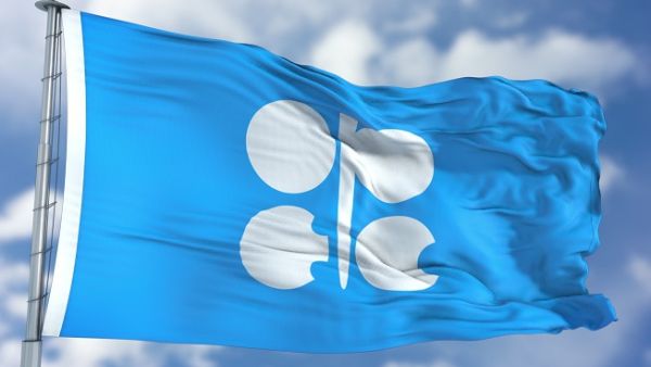 Qatar has decided to withdraw its membership from OPEC effective January 2019 and this decision was communicated to OPEC this morning. (Shutterstock)