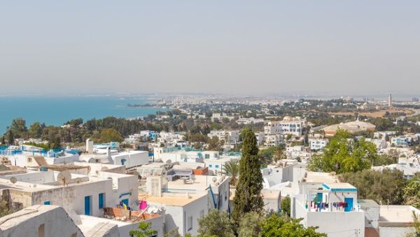 احتلت تونس آخر ترتيب الدول العربية من حيث مبيعات السيارات.