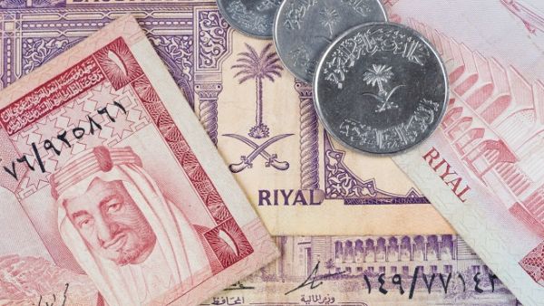 The private sector’s contribution to the gross domestic product of Saudi Arabia grew to 48 percent in 2017.  (Shutterstock)