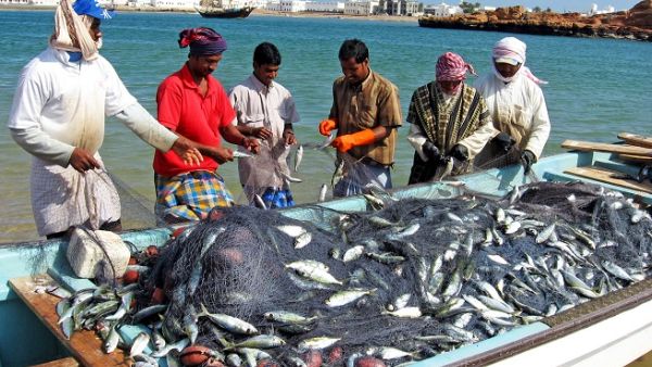 The ministry is expecting to raise fish production to 1.4mn tonnes in 2023 from 280,000 tonnes in 2016. (Shutterstock)