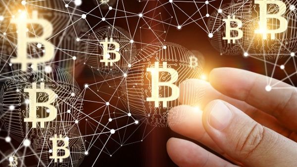 Bitcoin edged down by 0.5%.
