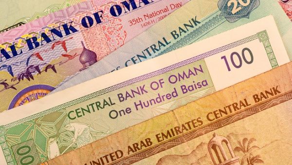 All six member countries including Qatar have agreed to contribute initial capital. (Shutterstock)