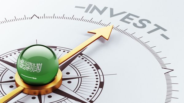 The 493 investments were made by 361 foreign firms. (Shutterstock) The 493 investments were made by 361 foreign firms. (Shutterstock)