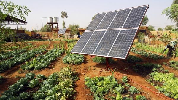 The electricity generated from the renewable sources will reach 1000 megawatts by March 2019. (Shutterstock)