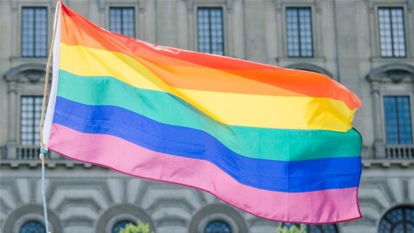 A rainbow flag at a gay pride parade in Stockholm, Sweden (AFP)