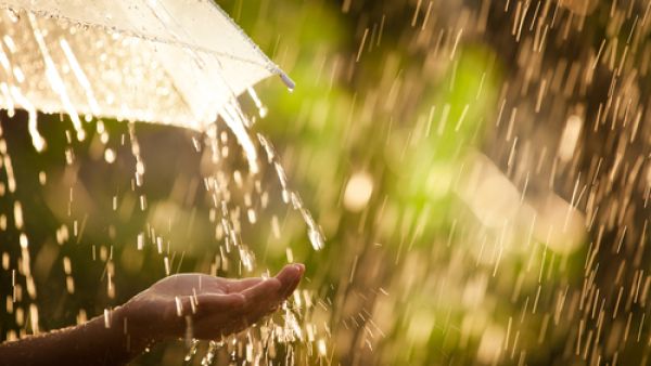 أعشق الشتاء لأنّ المطر دائماً يُشعرني بالطمأنينة فهناك رب لن يضيعنا