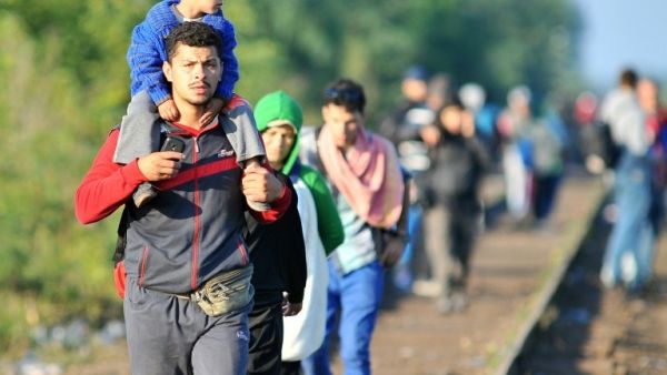 Refugees walk along a railway track at the Hungary-Serbia border, near the town of Horgos, on Sept. 14, 2015. (AFP/Elvis Barukcic)