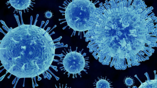A scientific drawing of the norovirus at a microscopic level. (Shutterstock) A scientific drawing of the norovirus at a microscopic level. (Shutterstock)