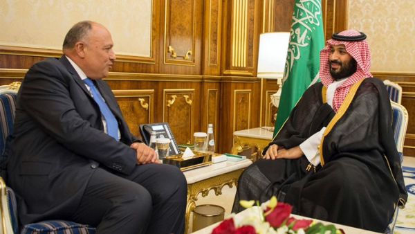 محمد بن سلمان وشكري.. الصورة التي لا يحبها الإيرانيون
