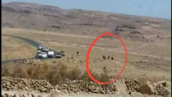 صورة للكمين الذي تعرض له صالح قبل قتله وتفاصيل جديدة عن نهايته
