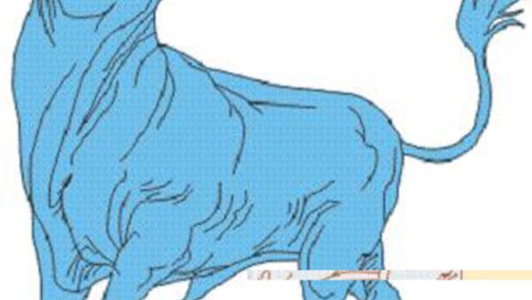 الثور.. كائن قدره القدماء