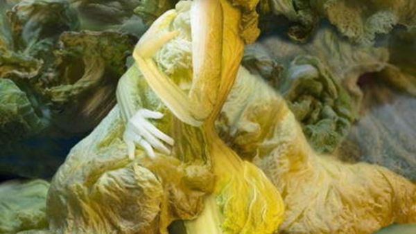 حسناء الملفوف